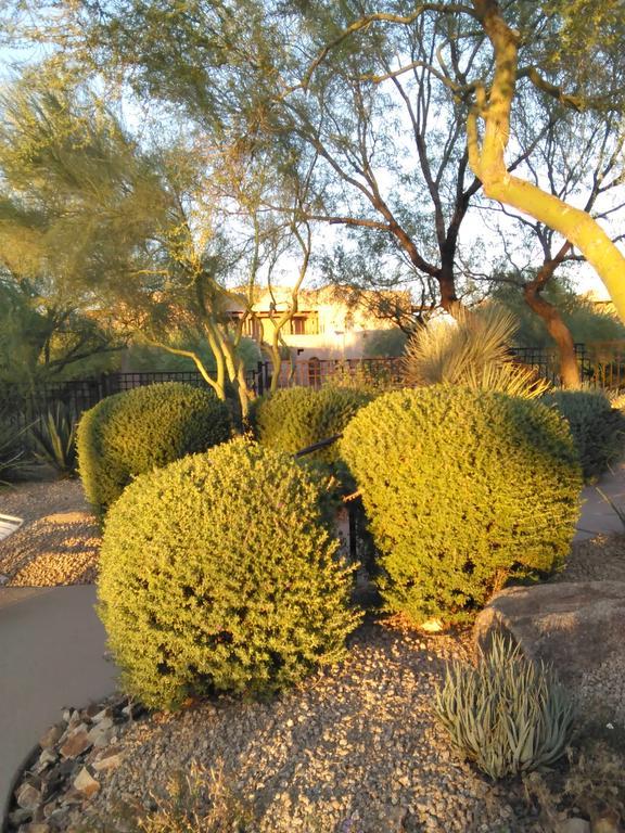 Desert Haven At Carefree Hotel Exterior foto